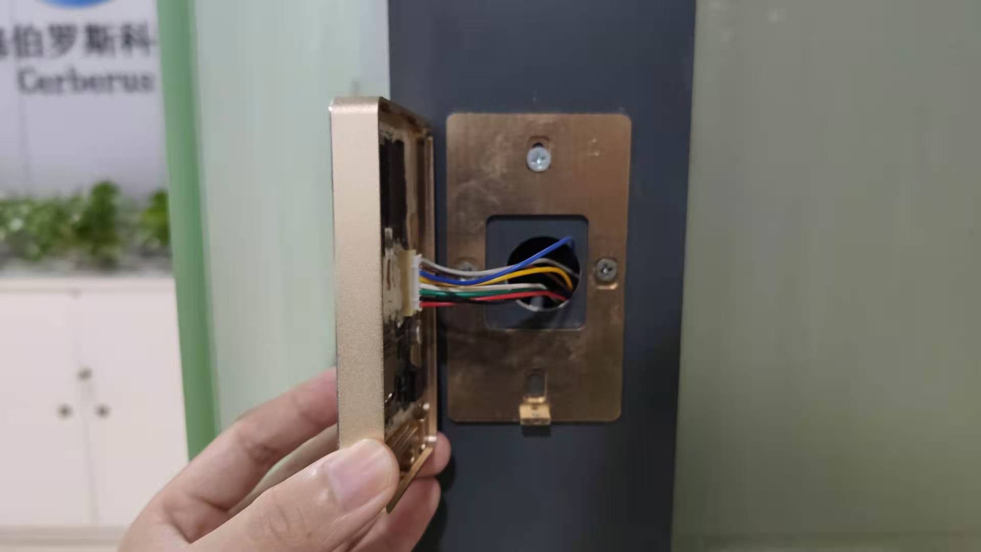 1607650419256503.jpg 1607650419256503.jpg